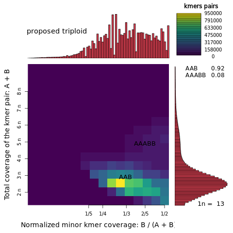 A Smudgeplot of a triploid genome